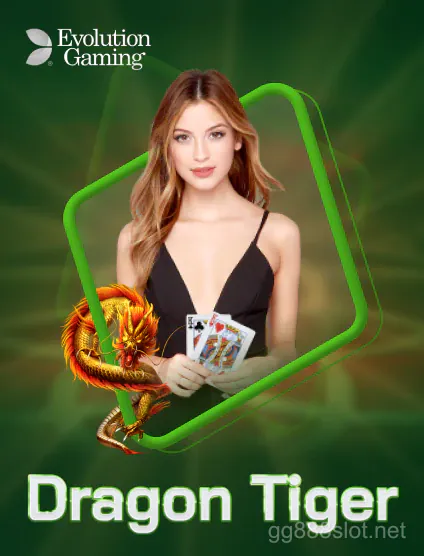 evolution dragon tiger portrait